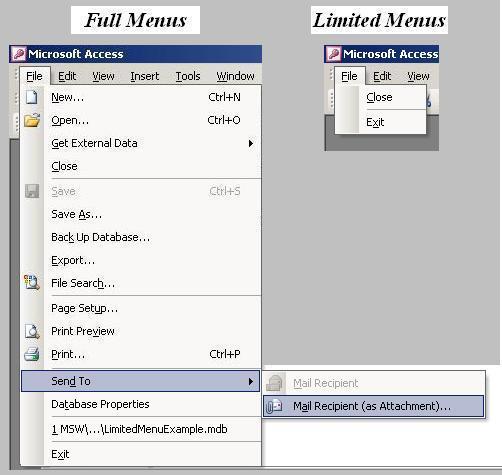 ms access menu examples